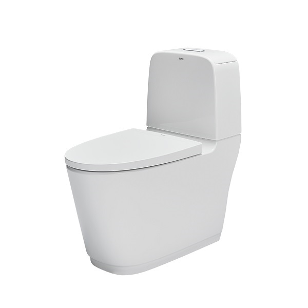 Bồn cầu 2 khối Inax AC-832VN/BW1