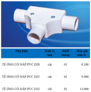 Phụ kiện ống Điện PVC Sam Phú